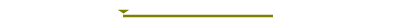 kigi-banner-100-free-ship.gif